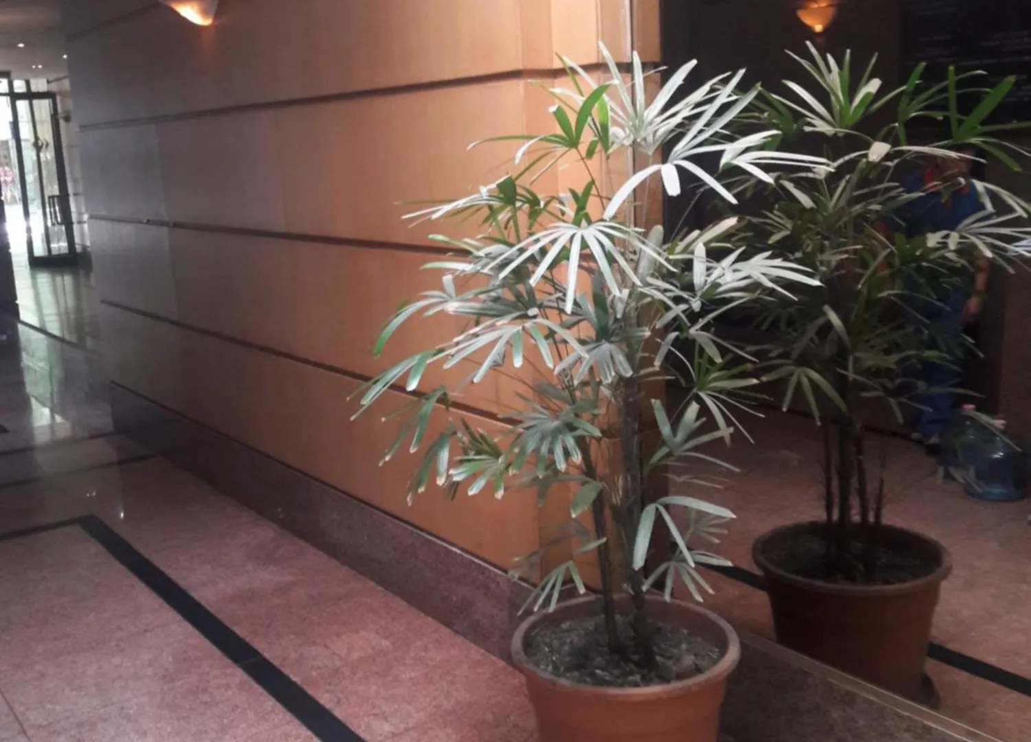 Apartmdz Mendoza
