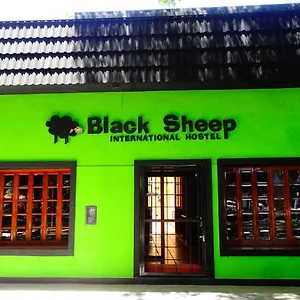  Hostel Black Sheep International